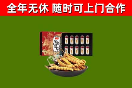 团风县回收冬虫夏草价格